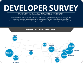 Developer Survey - Andiamo